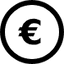 Icon with a euro symbol